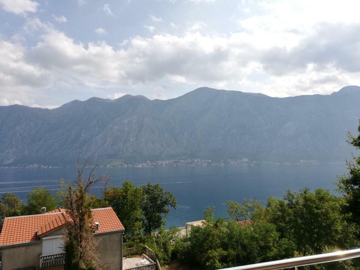Ruza Apartments Kotor Ngoại thất bức ảnh